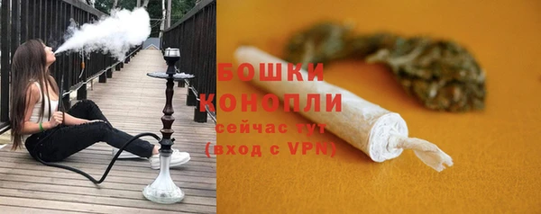 spice Анива