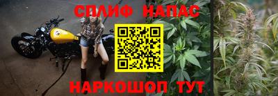 ГАЛЛЮЦИНОГЕННЫЕ ГРИБЫ Коммунар