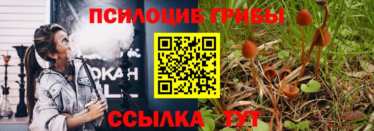Галлюциногенные грибы мицелий  Псилоцибиновые грибы Cubensis  Краснокамск  Вход с VPN 