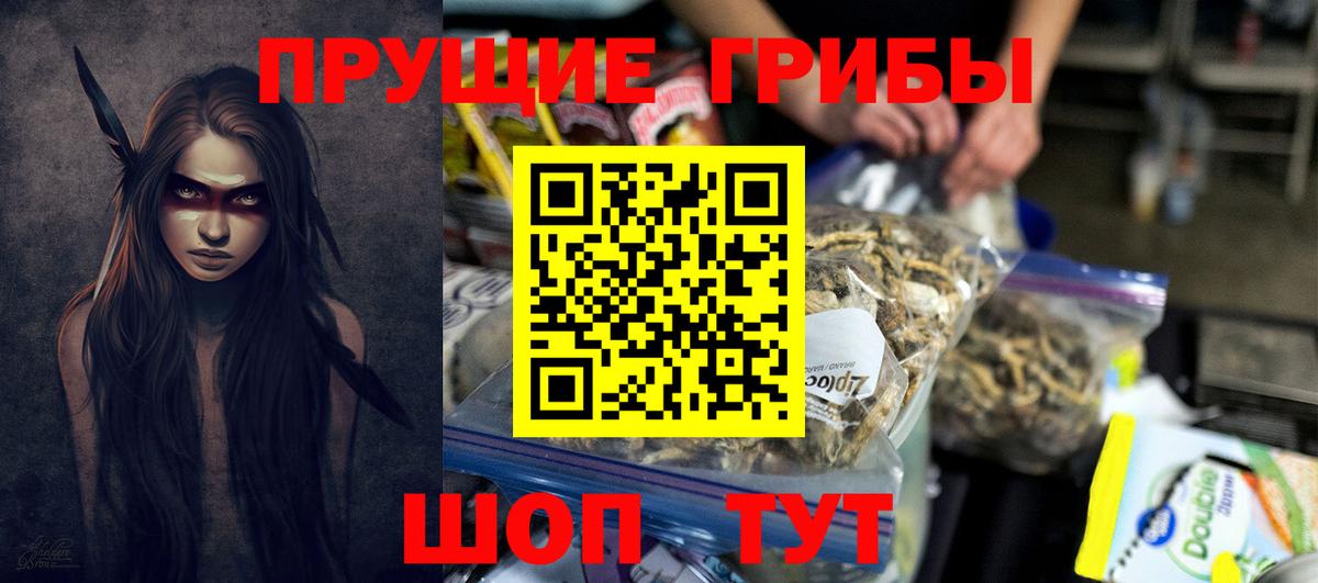 Псилоцибиновые грибы Cubensis Краснокамск